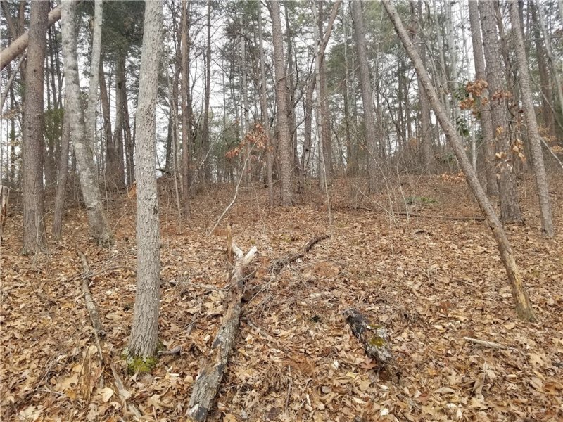 Property image 2 at Lot 60 Pointe Harbor, Seneca, SC 29672