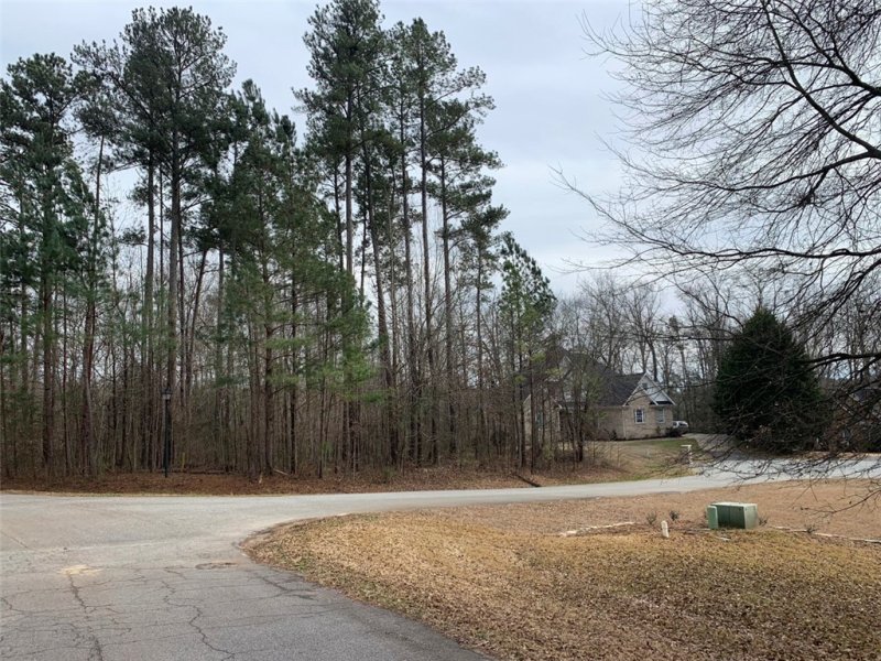 Property image 5 at 118 Augusta National, Anderson, SC 29621