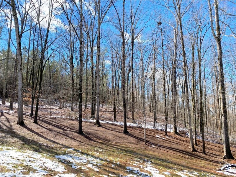 Property image 3 at 409 Springwood Drive, Seneca, SC 29672