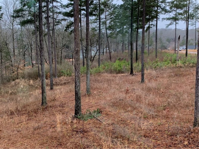 Property image 5 at 808 Little Bay Lane, Seneca, SC 29672