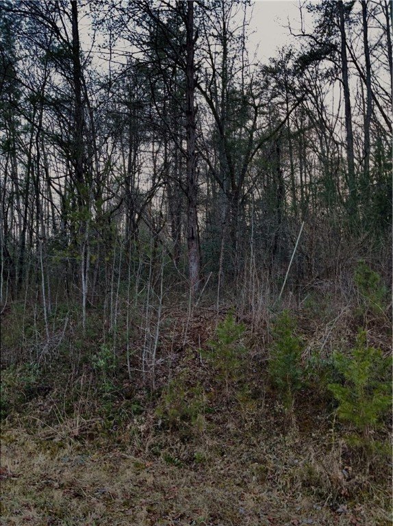 Property image 3 at 00 tract 2 Jumping Branch Road, Tamassee, SC 29686