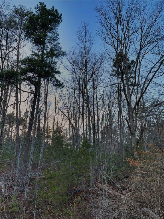 Property image 4 at 00 tract 2 Jumping Branch Road, Tamassee, SC 29686