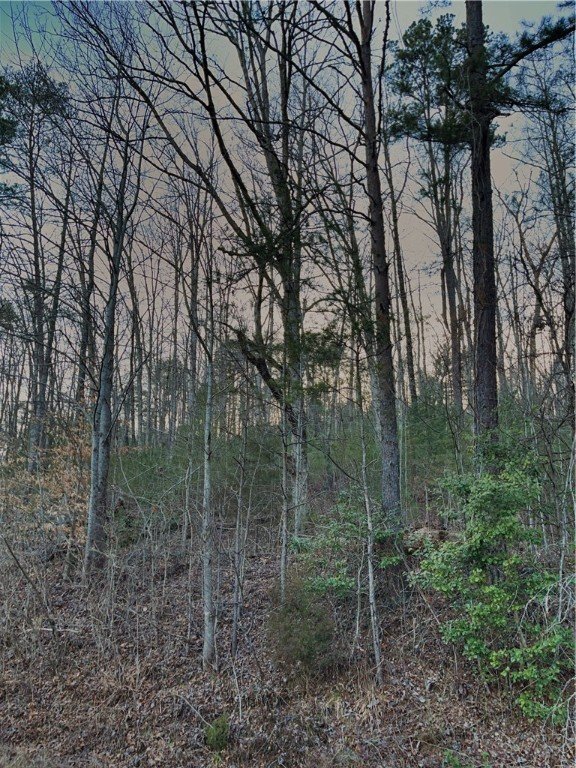 Property image 5 at 00 tract 2 Jumping Branch Road, Tamassee, SC 29686