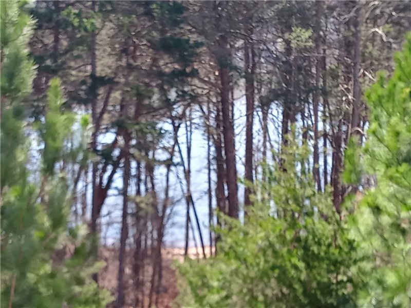 Property image 3 at 636 Lookover Drive, Anderson, SC 29621