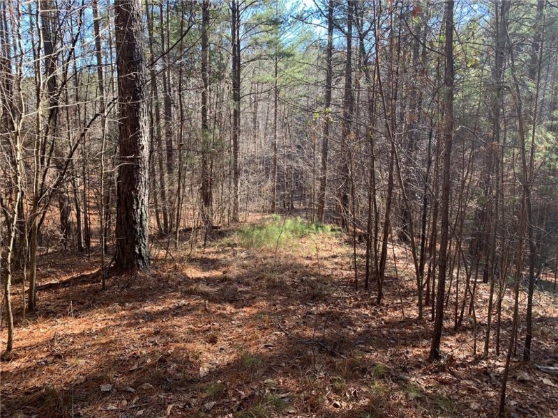 Property image 2 at 632 Pine Harbor Way, Salem, SC 29676