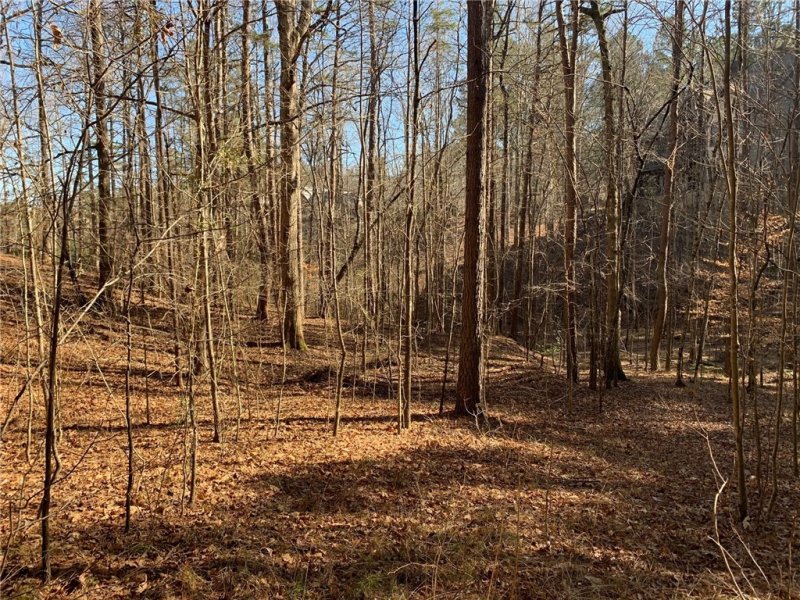 Property image 3 at 632 Pine Harbor Way, Salem, SC 29676