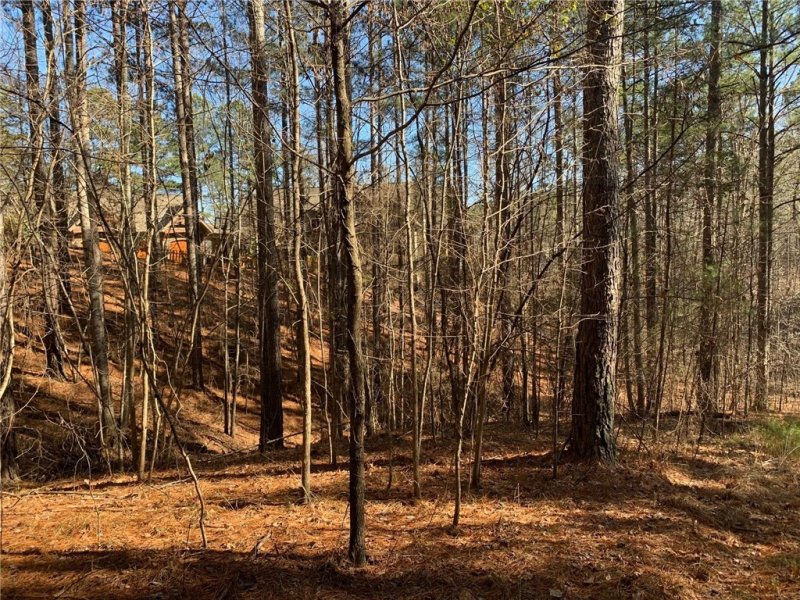 Property image 4 at 632 Pine Harbor Way, Salem, SC 29676