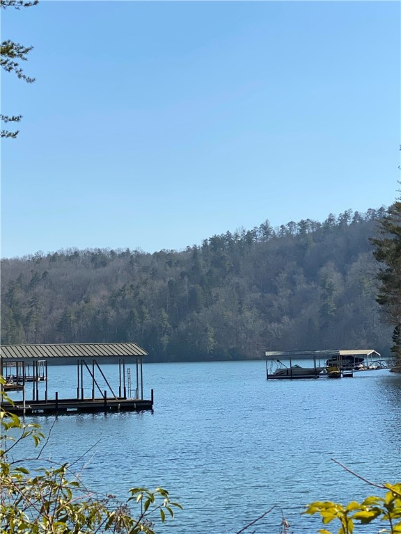 Property image 3 at 113 Coral Beads Way, Sunset, SC 29685