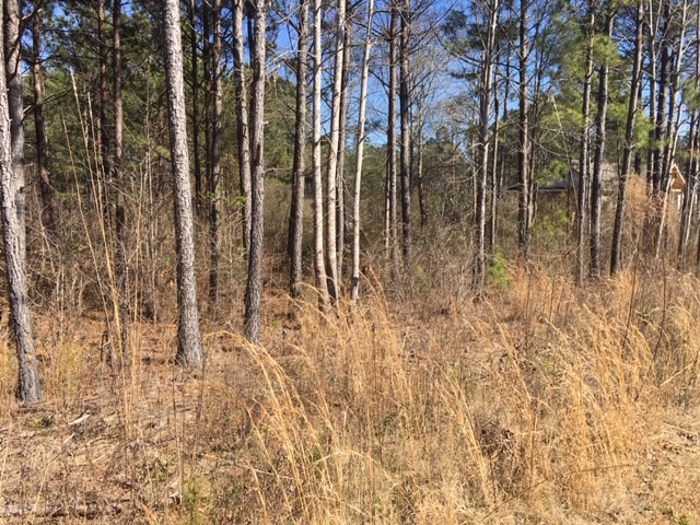 Property image 3 at Lot 78 & 79 McAlister Road, West Union, SC 29696