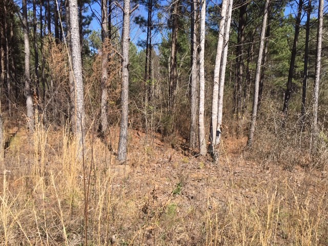 Property image 4 at Lot 78 & 79 McAlister Road, West Union, SC 29696