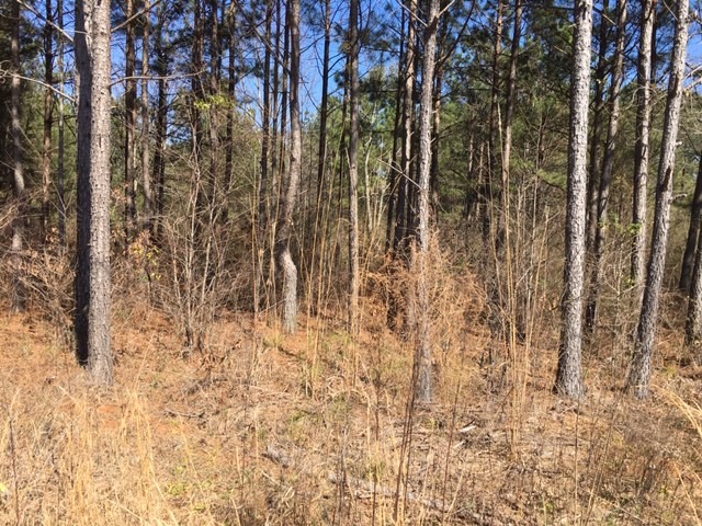 Property image 5 at Lot 78 & 79 McAlister Road, West Union, SC 29696