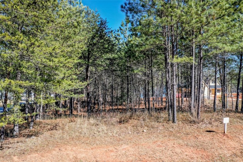 Property image 4 at Lot 19 Peninsula Pointe North Drive, West Union, SC 29696