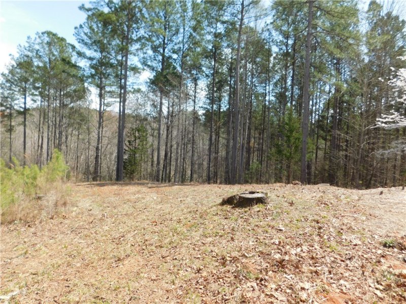 Property image 5 at 715 Eagle Ridge Way, Salem, SC 29676