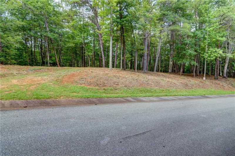 Property image 2 at Lot 39 Eastatoe Parkway, Sunset, SC 29685