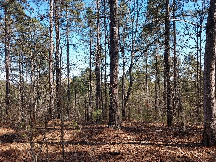 Property image 3 at 329 Long Cove Trail, Salem, SC 29676