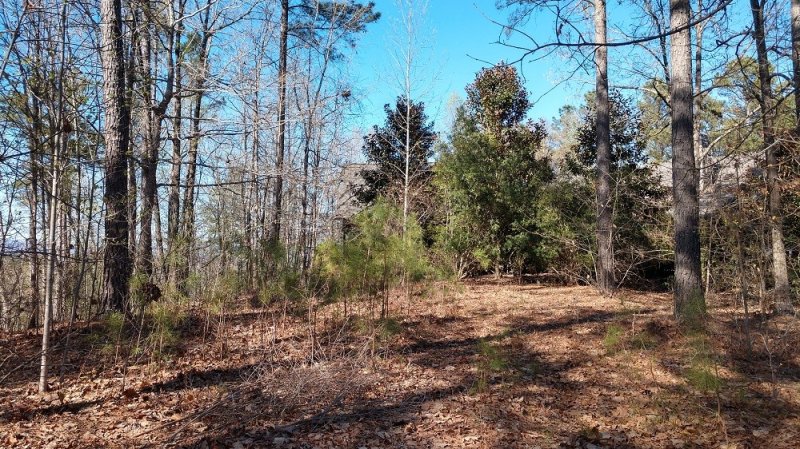 Property image 5 at 329 Long Cove Trail, Salem, SC 29676