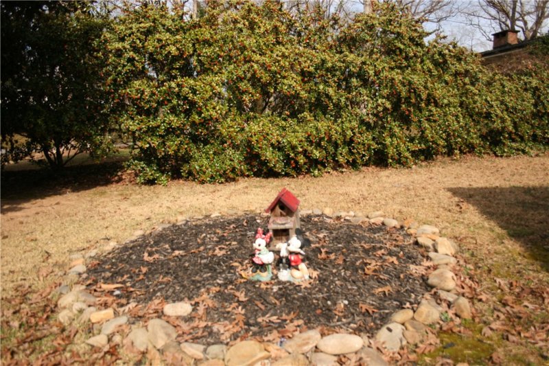 Property image 5 at 315 Dogwood Lane, Easley, SC 29642