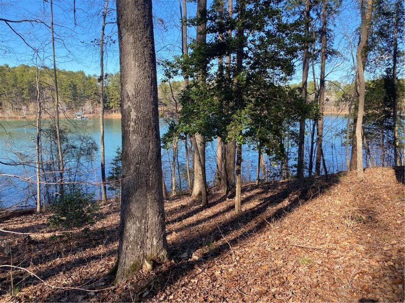 Property image 3 at Lot 66 Riverstone Drive, Salem, SC 29676