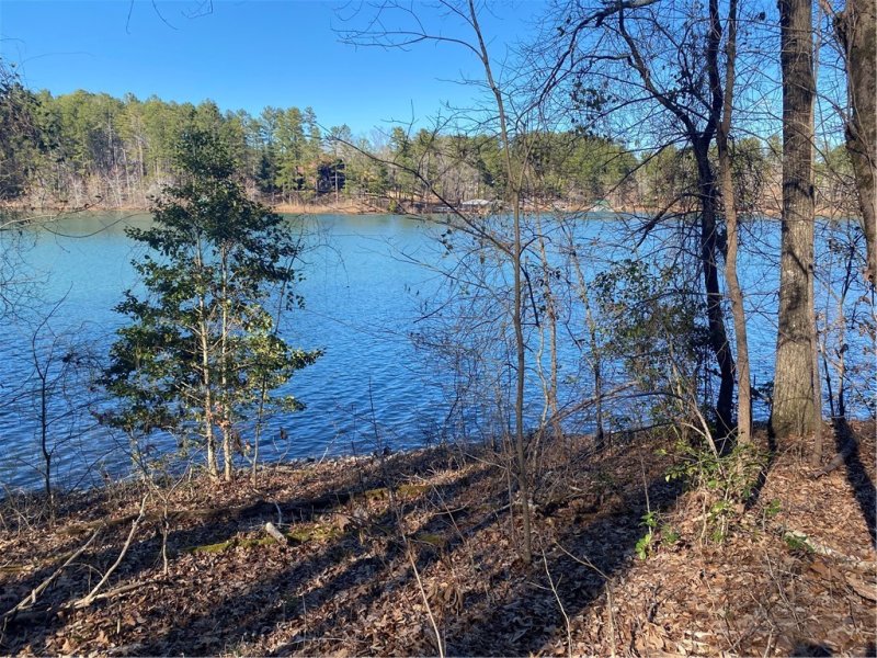 Property image 5 at Lot 66 Riverstone Drive, Salem, SC 29676