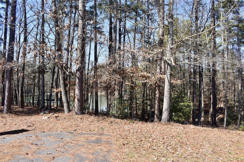 Property image 4 at 239 Bay Ridge Drive, Townville, SC 29689