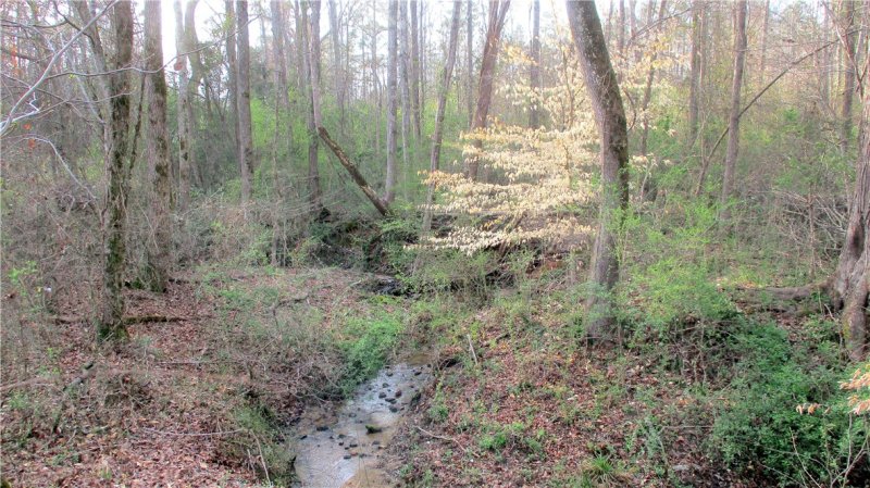 Property image 2 at 00 Sivnksty Road, Starr, SC 29684