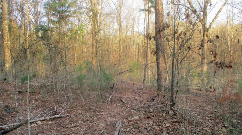 Property image 3 at 00 Sivnksty Road, Starr, SC 29684