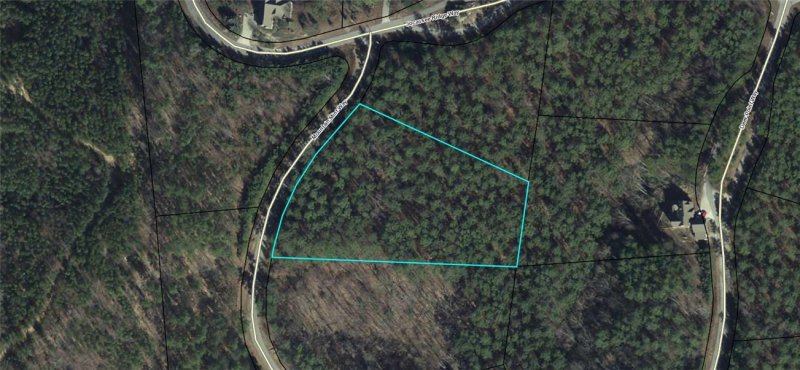 00 Mountain Mint Way