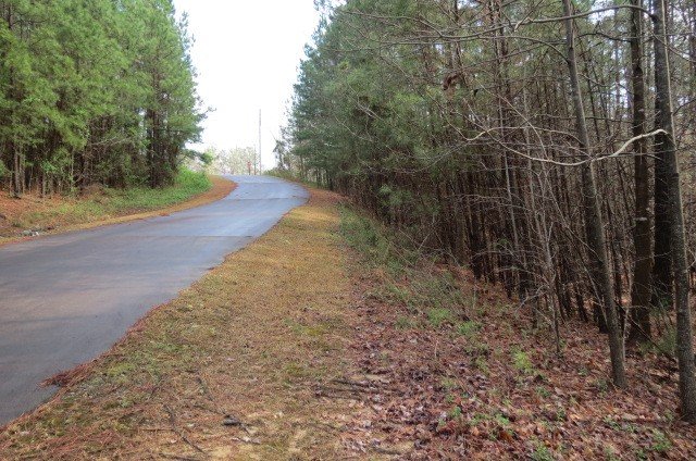 Property image 3 at 00 Mountain Mint Way, Salem, SC 29676