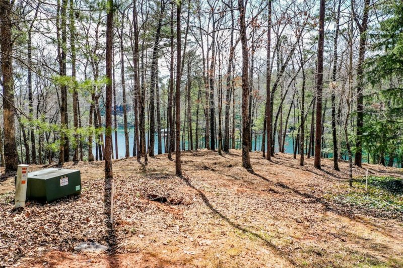 Property image 4 at 510 Merganser Way, Salem, SC 29676