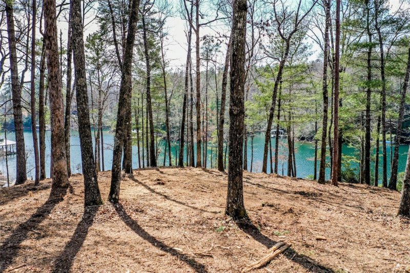 Property image 5 at 510 Merganser Way, Salem, SC 29676