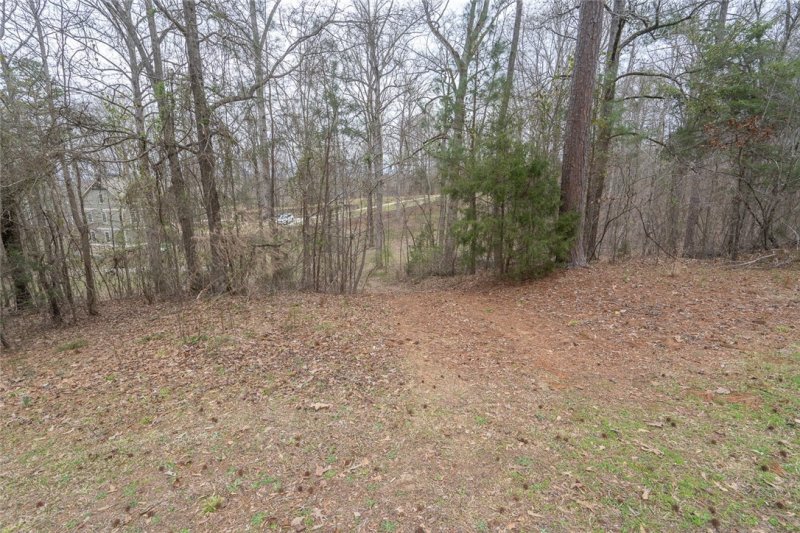 Property image 5 at Lot 16 Overlook Drive, Fair Play, SC 29643