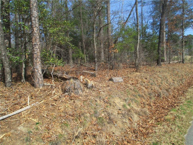 Property image 4 at None Whitmire Church Road, Tamassee, SC 29686