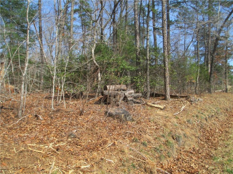 Property image 5 at None Whitmire Church Road, Tamassee, SC 29686