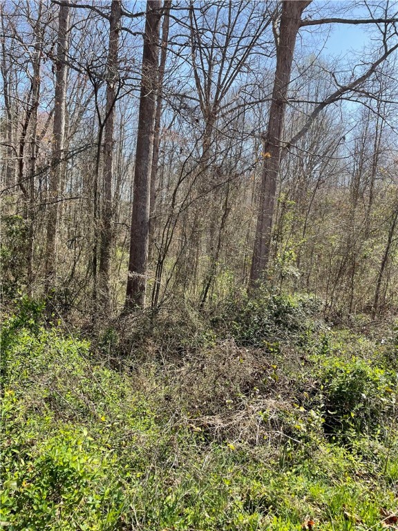 Property image 2 at 205 Chantilly Circle, Starr, SC 29684