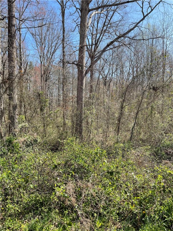 Property image 3 at 205 Chantilly Circle, Starr, SC 29684