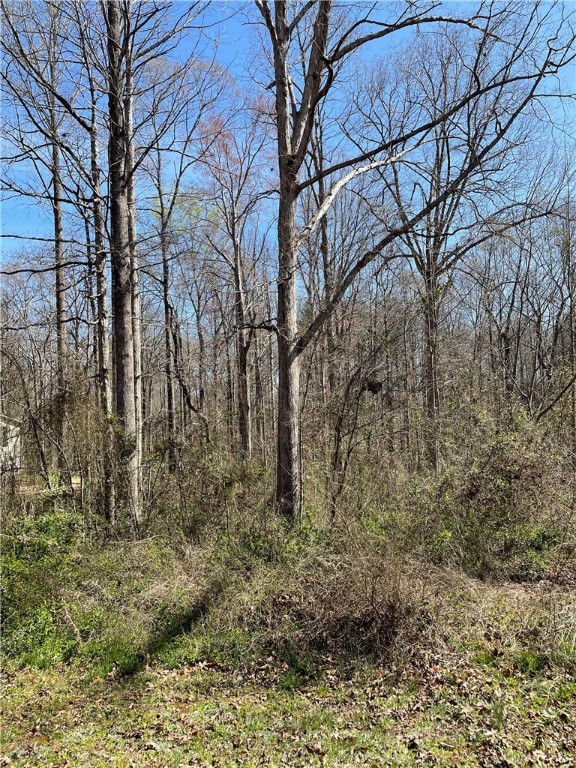 Property image 4 at 205 Chantilly Circle, Starr, SC 29684