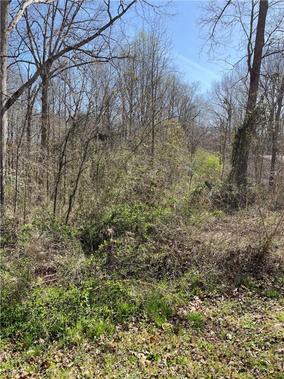 Property image 5 at 205 Chantilly Circle, Starr, SC 29684