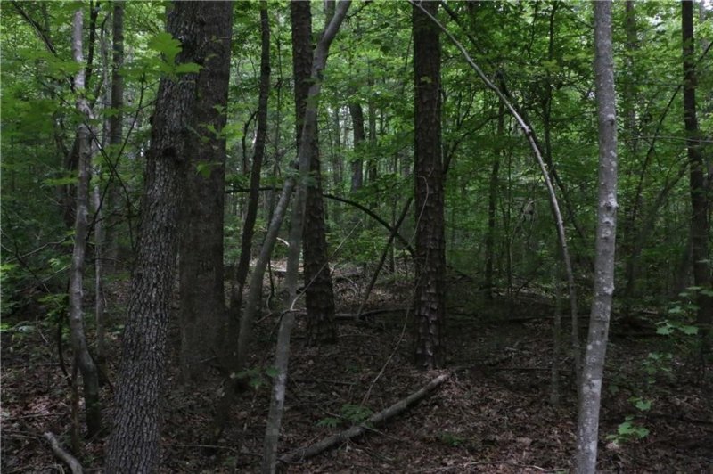 Property image 2 at Lot 214 Hiawatha Trail, Westminster, SC 29693