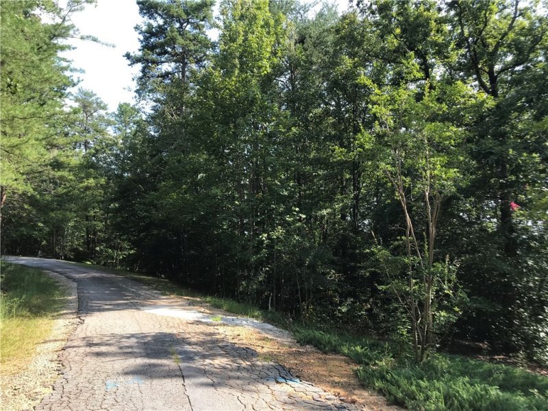 Property image 4 at 521 The Bear Boulevard, Tamassee, SC 29686