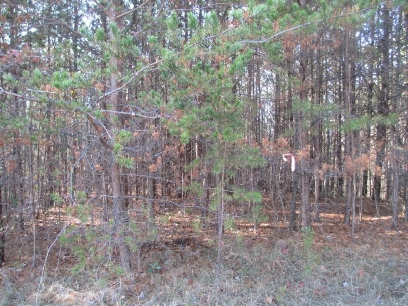 Property image 2 at N31 Mountain Laurel Drive, Salem, SC 29676