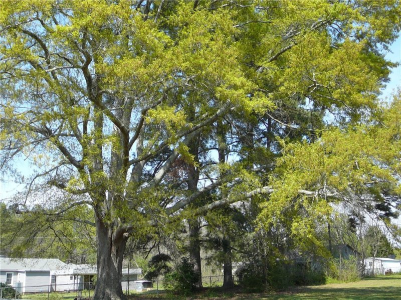 Property image 3 at 1003 Bern Circle, Anderson, SC 29626