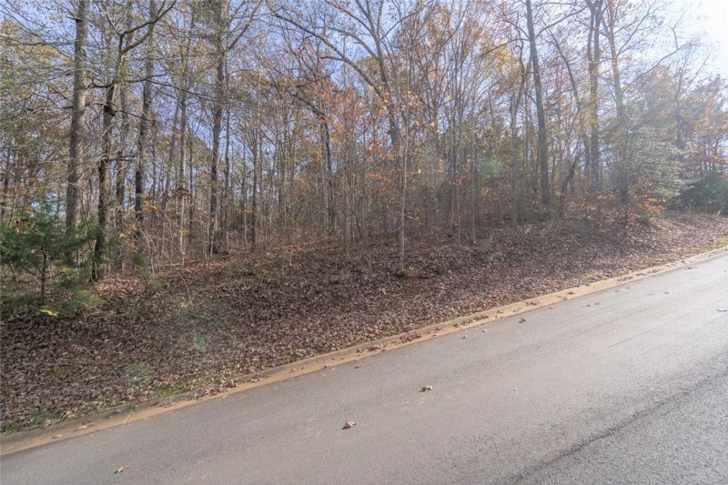 Property image 2 at Lot 48 Overlook Drive, Fair Play, SC 29643
