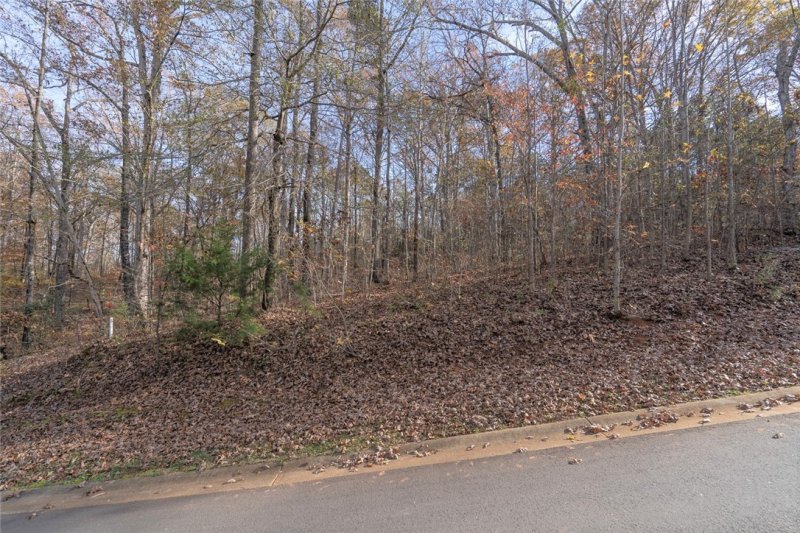 Property image 3 at Lot 48 Overlook Drive, Fair Play, SC 29643