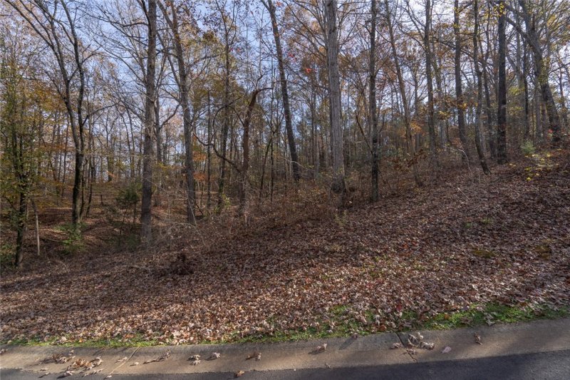 Property image 4 at Lot 48 Overlook Drive, Fair Play, SC 29643