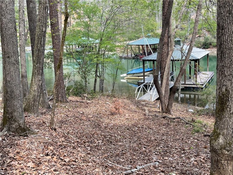 Property image 5 at 106 Mossy Way, Six Mile, SC 29682