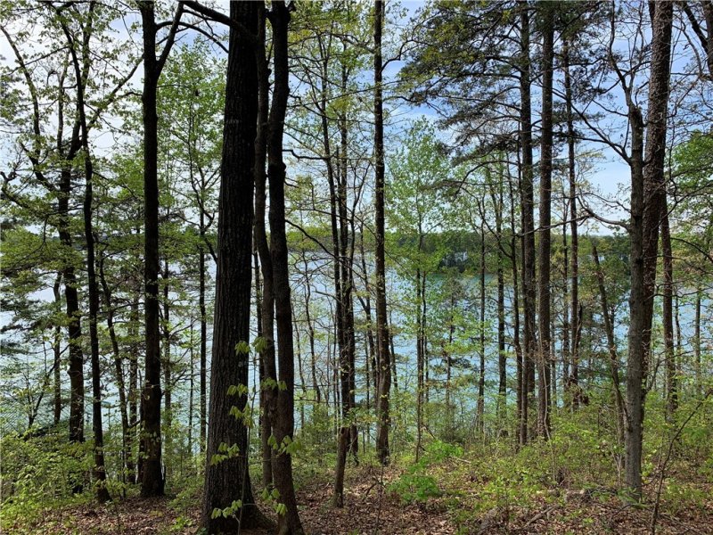 Property image 4 at 000 Hillview Drive, Seneca, SC 29672