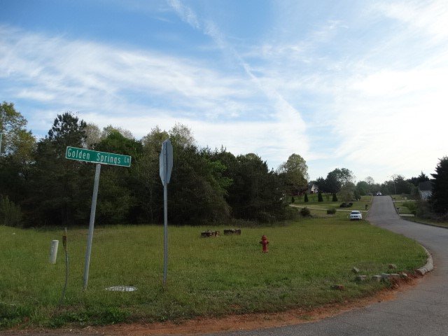 105 Golden Springs Lane