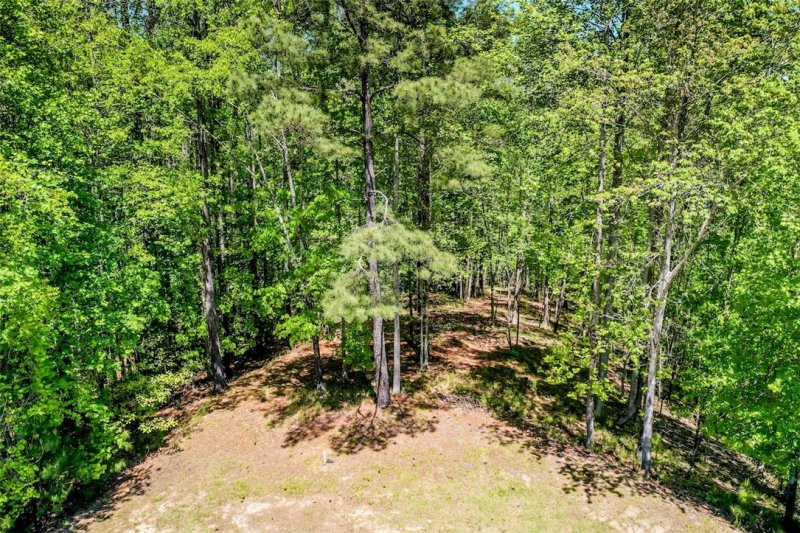 Property image 5 at 208 Autumnwood Trail, Six Mile, SC 29682