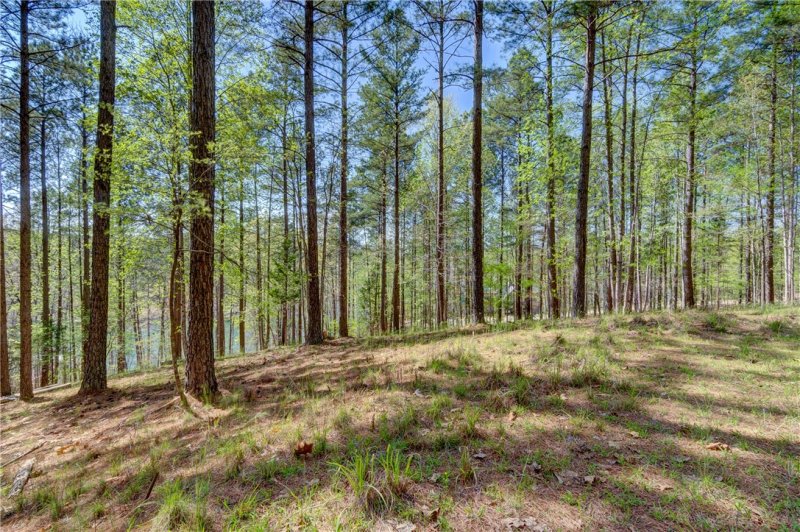 Property image 2 at 108 Reflection Court, Six Mile, SC 29682