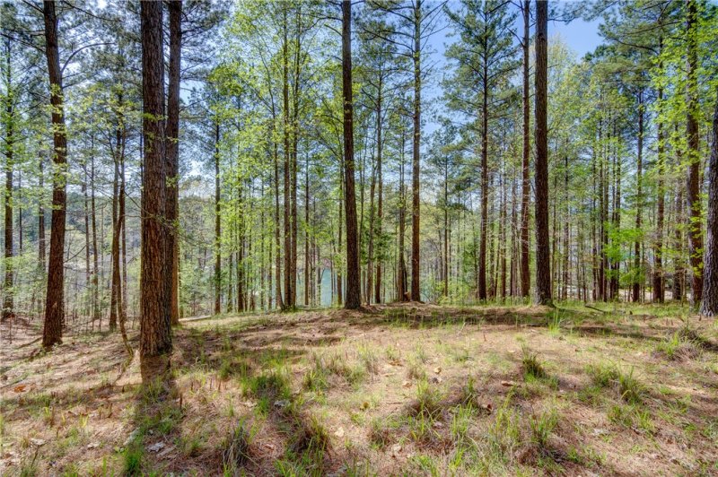 Property image 3 at 108 Reflection Court, Six Mile, SC 29682